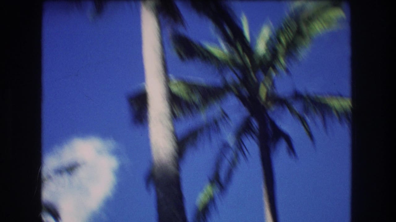 Low-angle view of palm trunks and fronds against a deep blue sky.