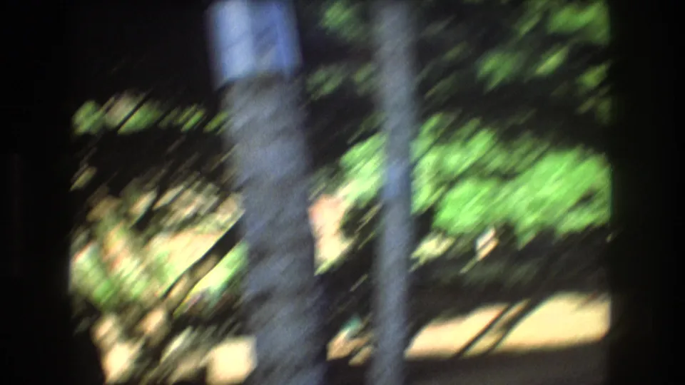 1977 Honolulu, Oahu home-movie frame showing blurred palm trunks, dense green planting, and sunlit ground during a downward handheld tilt.