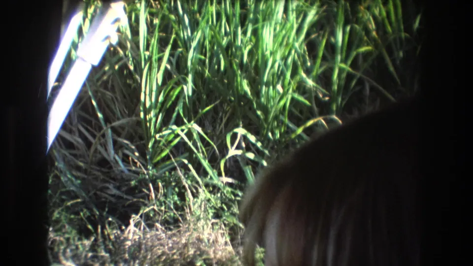 1977 Honolulu 8mm frame showing dense sunlit grass through a vehicle window, partly blocked by a passenger's head and interior shadows.
