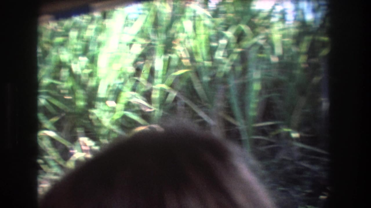 Blurred roadside plants seen through a vehicle window with a passenger head in the foreground.