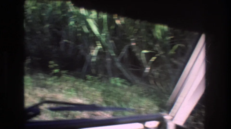 8mm frame from a moving car in Honolulu, Oahu, with windshield trim, a wiper, and dense tropical roadside plants visible outside.