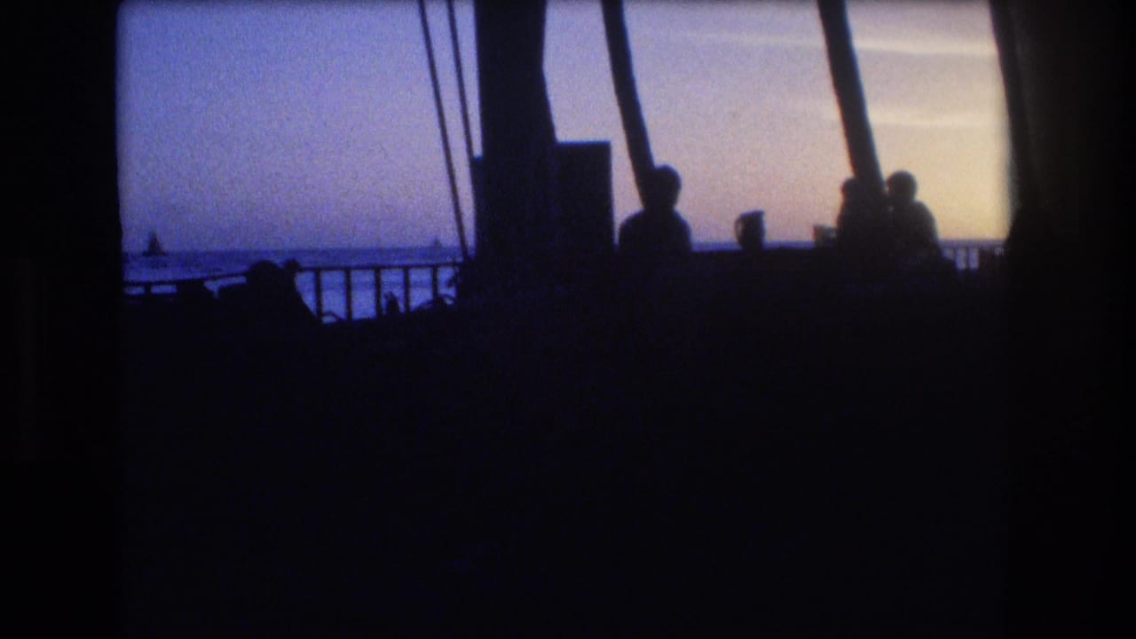 Silhouetted people near a railing with palm trunks and the ocean at dusk.
