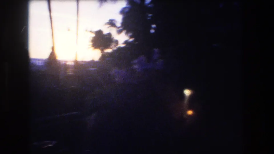 1977 Honolulu Oahu dusk frame with palms and foliage in heavy shadow, the ocean and sunset glow in the distance, and a small light in the foreground.