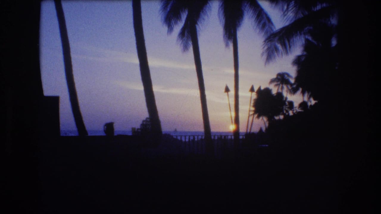Palm trees silhouetted against a tropical sunset over the ocean.