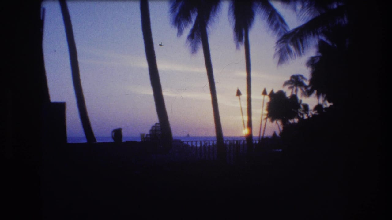 Low sun near the horizon framed by dark palm trees and a railing.