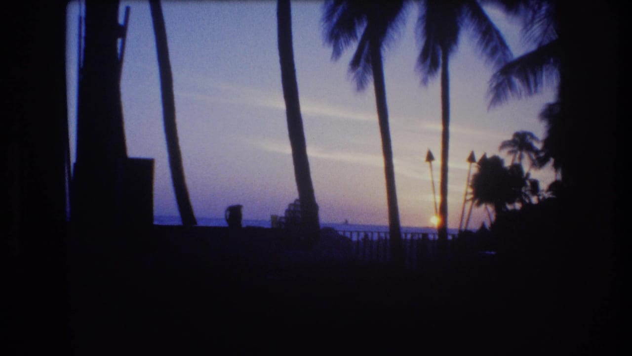 Dark palm silhouettes and torch shapes frame the sun near the ocean horizon.