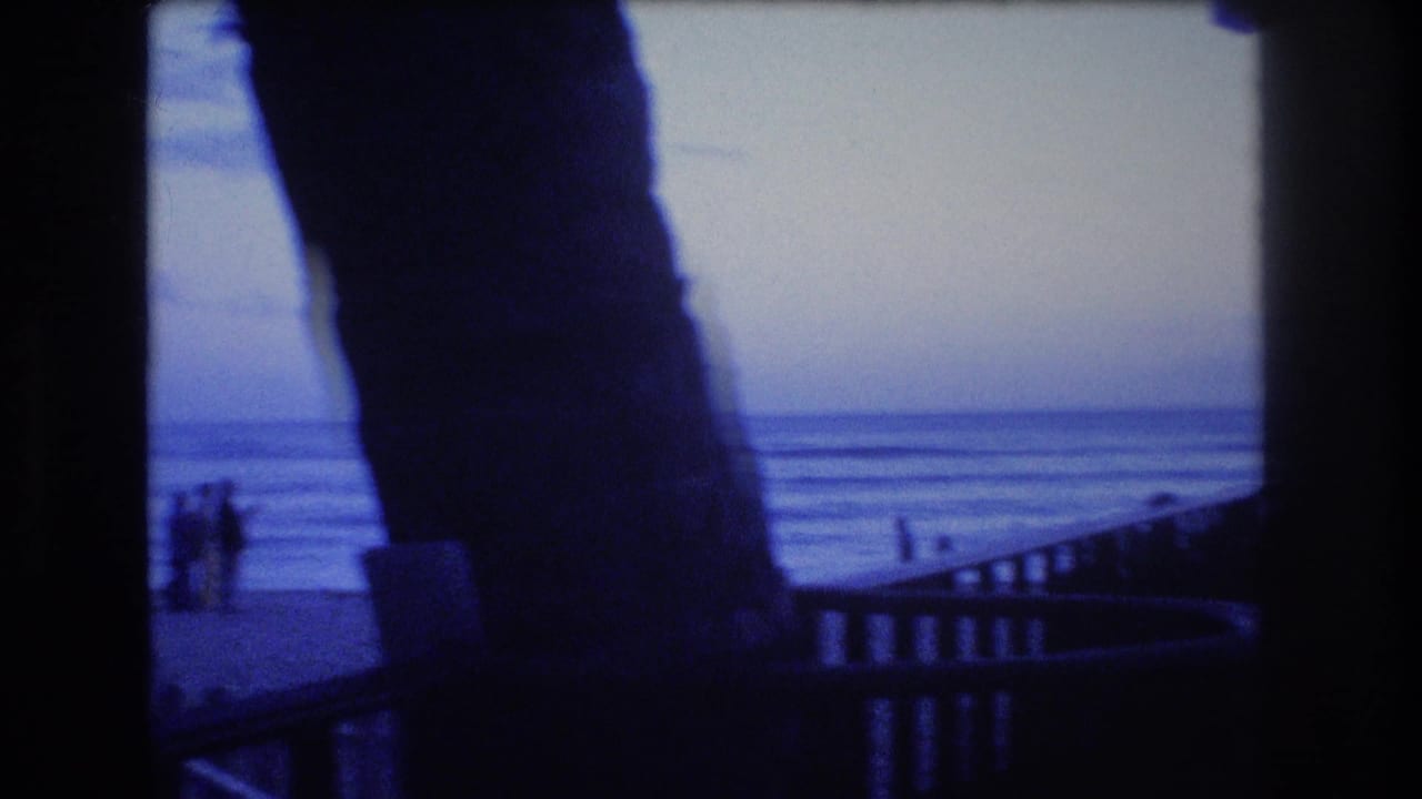 Silhouetted figures stand near the shoreline beyond dark palm trunks and railings.