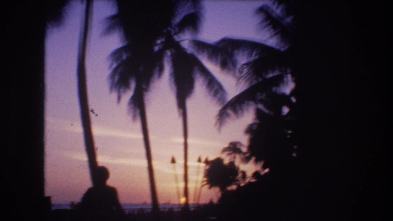 Silhouetted person near palm trees at sunset by the water.
