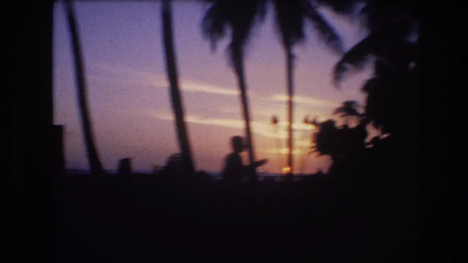 Silhouetted palm trunks and shoreline shapes frame a warm sunset over the distant ocean in the supplied 1977 Honolulu, Oahu home-movie footage.