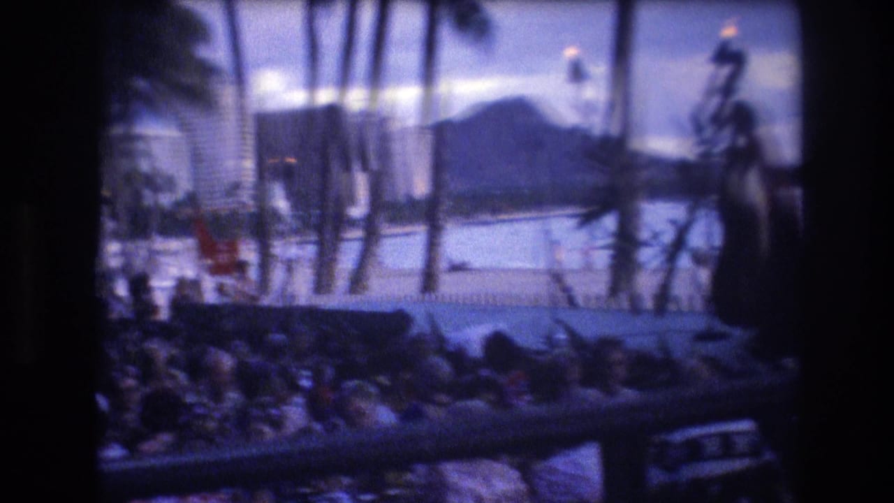 Audience silhouettes face a stage near palm trees and water at dusk.