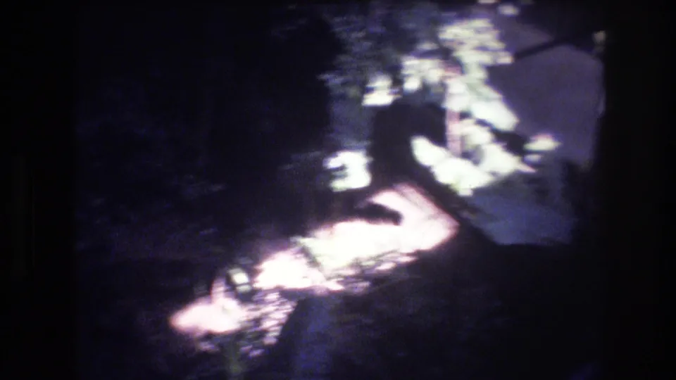 Soft, dark 8mm frame from the Honolulu garden sequence showing a path or water-edge area with foliage shadows and bright reflected light.