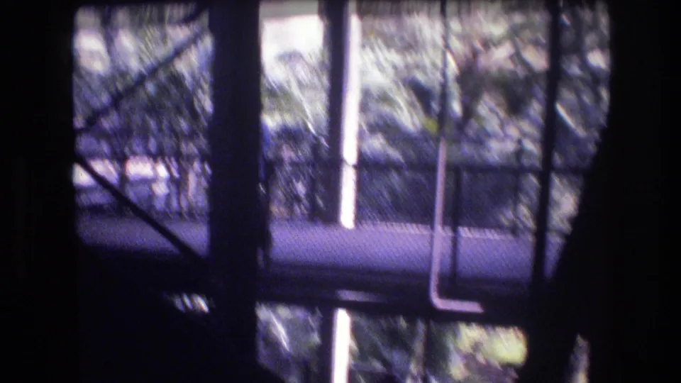 1977 Honolulu home-movie frame looking through bridge or platform railing toward trees, a walkway, and bright tropical garden light.