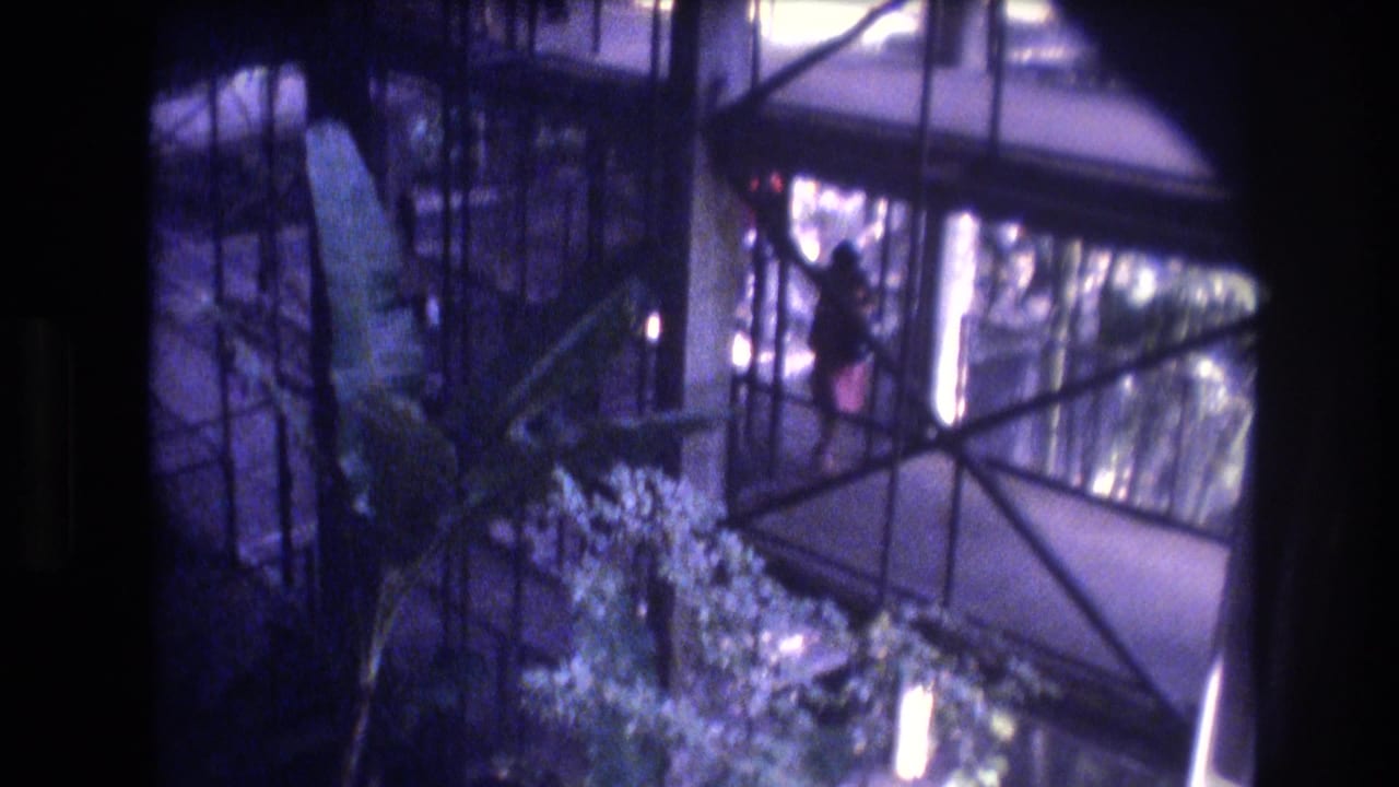1977 Honolulu home-movie frame showing a glass-enclosed atrium walkway, metal beams, tropical foliage, and a distant person in red on an upper level.