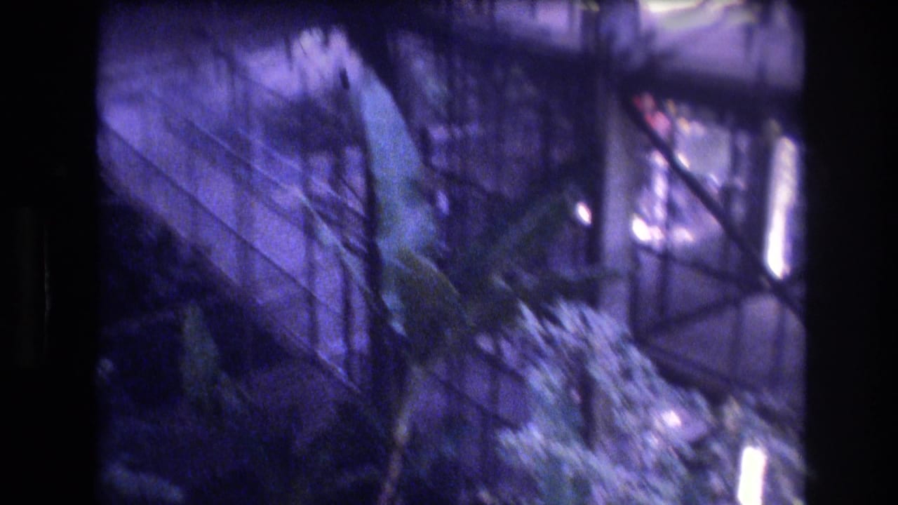 Upper atrium walkway seen through glass with large tropical leaves below.