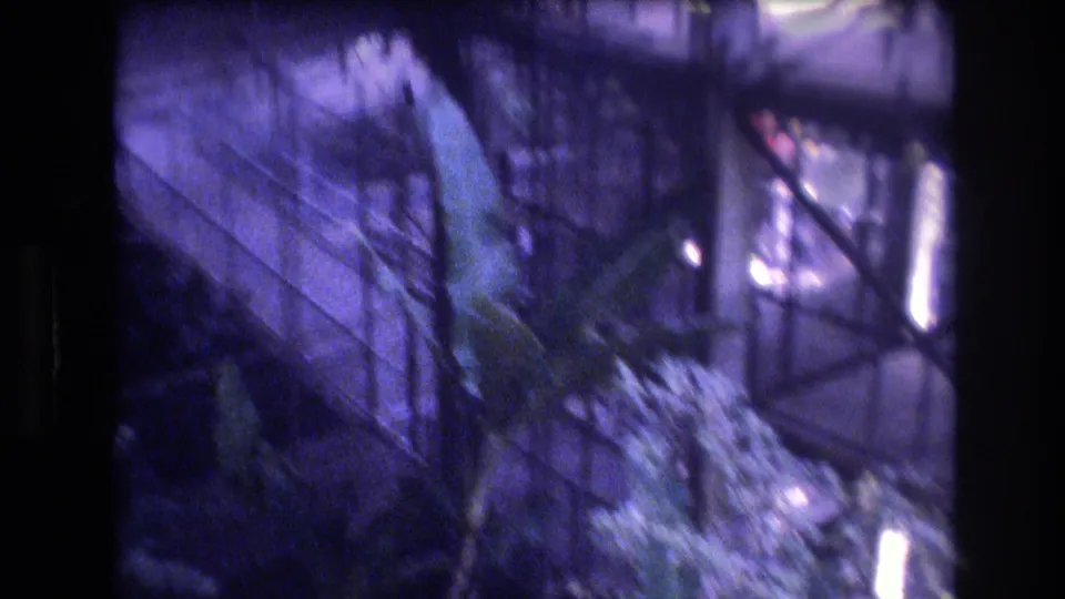 1977 Honolulu 8mm frame looking across a glass interior walkway and metal supports above large tropical plants in a dim atrium.