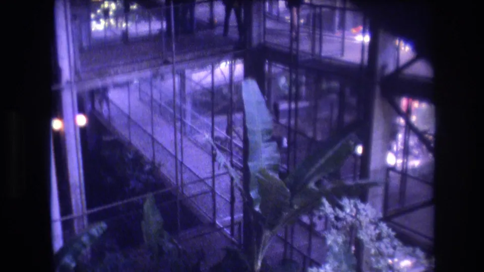 1977 Honolulu 8mm frame showing a glass-sided walkway, dark structural framing, and tropical planting inside a modern atrium space.