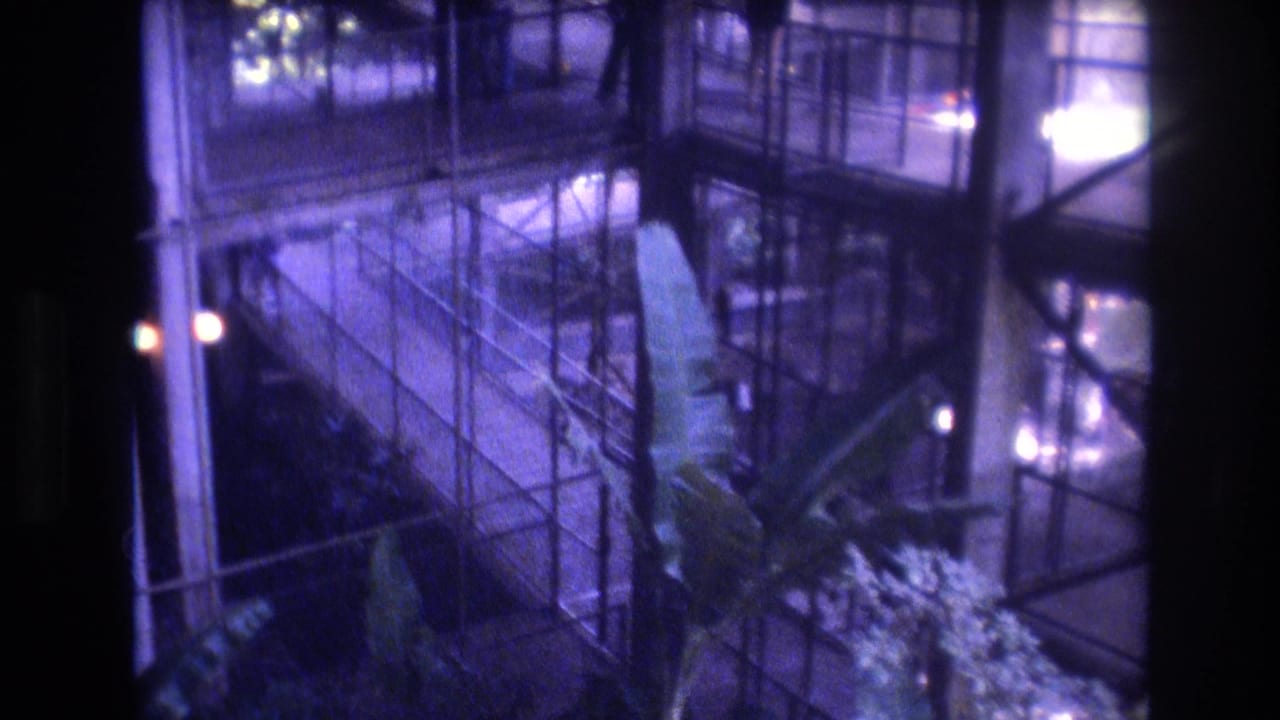 1977 Honolulu home-movie frame looking down at a tall tropical plant inside a glass-and-metal interior atrium with purple-blue aged-film color.
