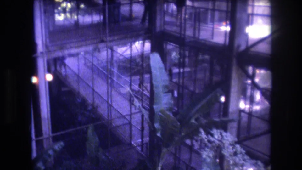 1977 Honolulu home-movie frame looking down at a tall tropical plant inside a glass-and-metal interior atrium with purple-blue aged-film color.
