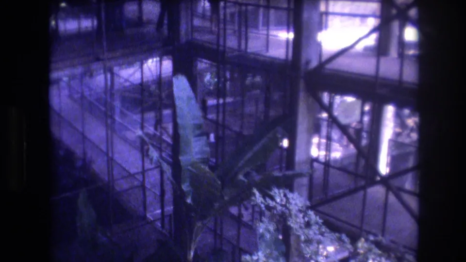 A 1977 Honolulu 8mm frame shows a tall indoor plant beneath glass railings, metal supports, and reflective upper-level windows.