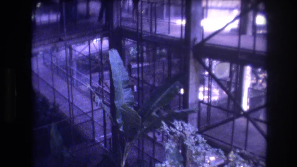 1977 Honolulu home-movie footage frames the plant from above, with metal cross-bracing, glass panels, and bright reflections in the background.