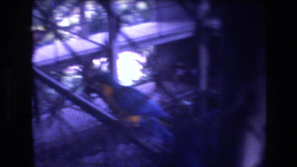The macaw appears behind fence lines and branches in the Honolulu zoo aviary, rendered with soft 8mm grain and blue-purple color shift.