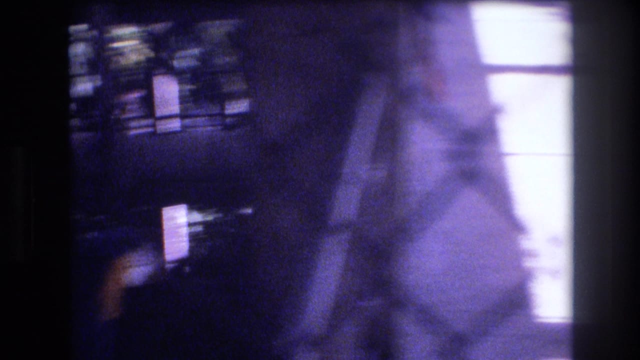 Soft 1977 Honolulu home-movie frame looking through a zoo enclosure, with a blurred blue parrot, fencing, dark frame edges, and bright backlight.