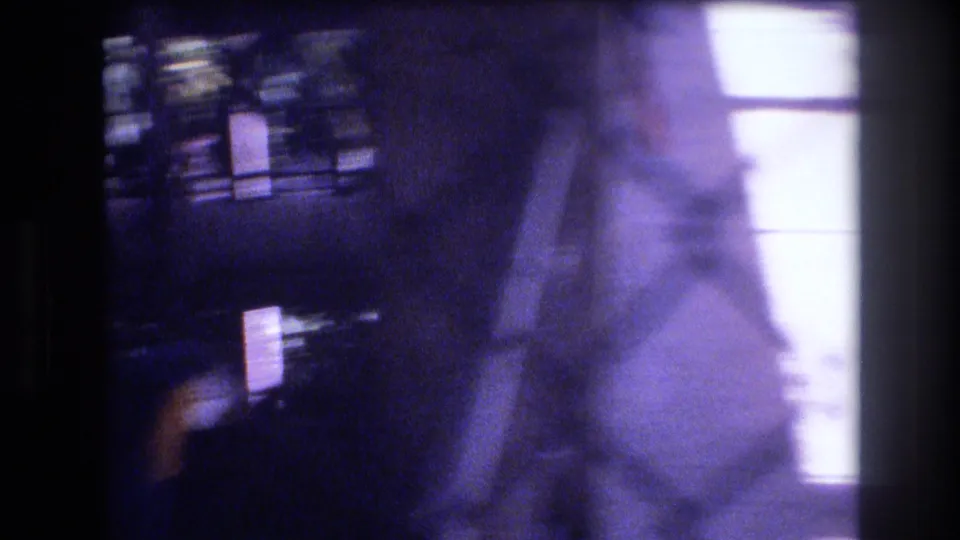 Soft 1977 Honolulu home-movie frame looking through a zoo enclosure, with a blurred blue parrot, fencing, dark frame edges, and bright backlight.