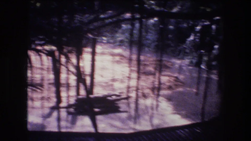 1977 Honolulu-area 8mm frame looking through dark tree trunks and enclosure lines toward a bright sandy or paved surface in a tropical setting.
