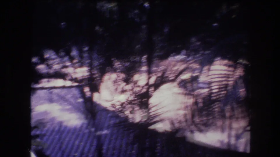 1977 Honolulu-area 8mm frame with blurred tropical foliage, branch shadows, and a bright paved or concrete area seen during the pan.