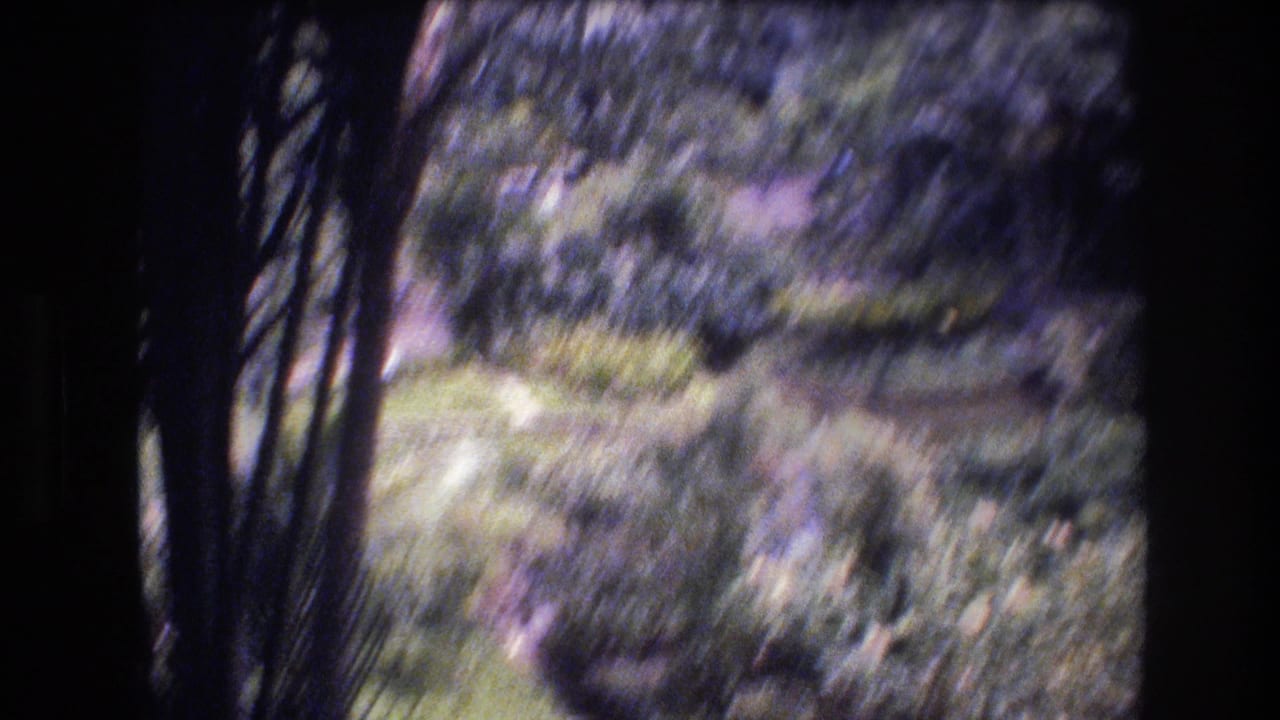Trees and a winding garden path seen in a soft, shaky frame.