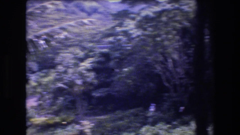 Shaky 1977 Oahu home-movie frame showing dense shrubs, tree trunks, shadowed vegetation, and prominent dark film-edge intrusion.