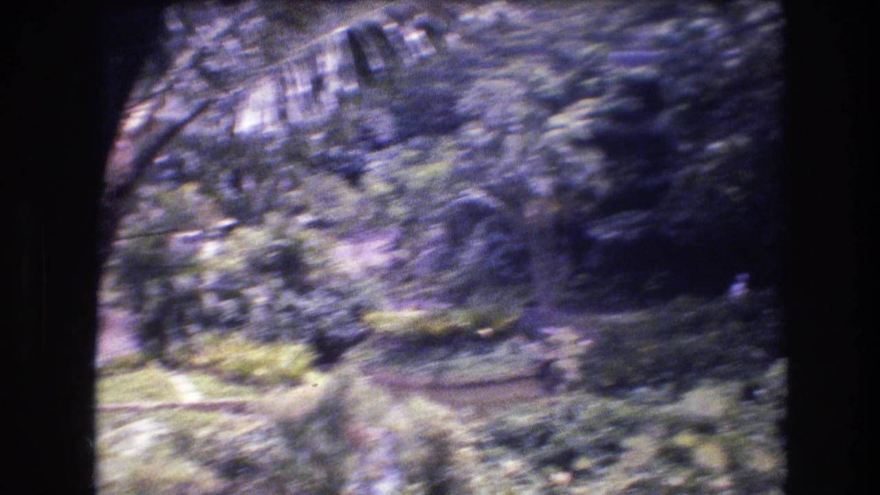 1977 Honolulu-area 8mm frame showing soft, blurred tropical foliage, grass, shrubs, and a narrow path viewed from a moving position.