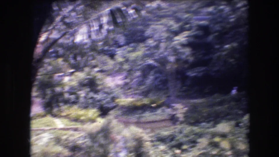 1977 Honolulu-area 8mm frame showing soft, blurred tropical foliage, grass, shrubs, and a narrow path viewed from a moving position.