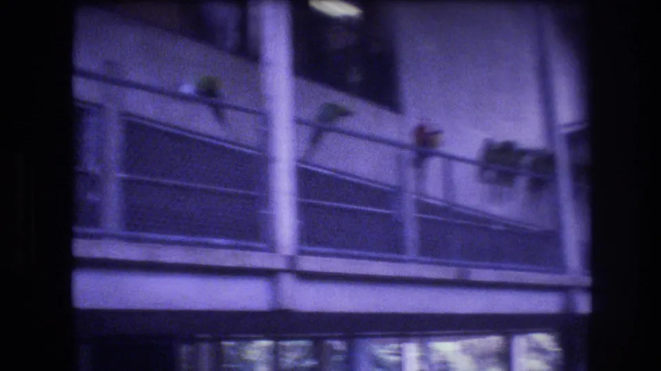 A metal railing in the 1977 Honolulu home movie holds several blurred colorful parrots, with the camera still soft and the scene tinted purple-blue.