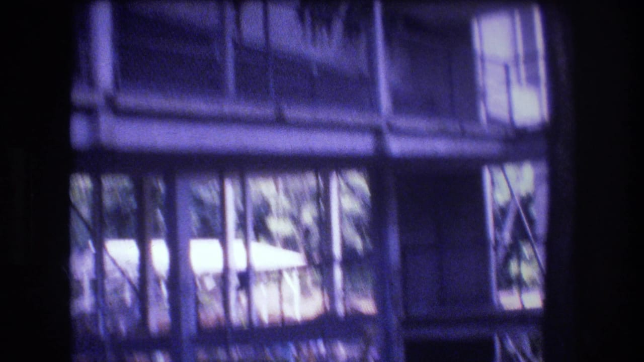 1977 Honolulu 8mm frame looking across a glass-walled indoor enclosure, with dark vertical supports, window panes, and leafy greenery beyond.