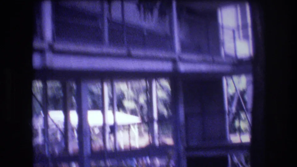 1977 Honolulu 8mm frame looking across a glass-walled indoor enclosure, with dark vertical supports, window panes, and leafy greenery beyond.
