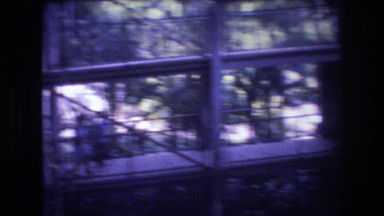 Windowed upper level with railings and tree branches or foliage visible outside.