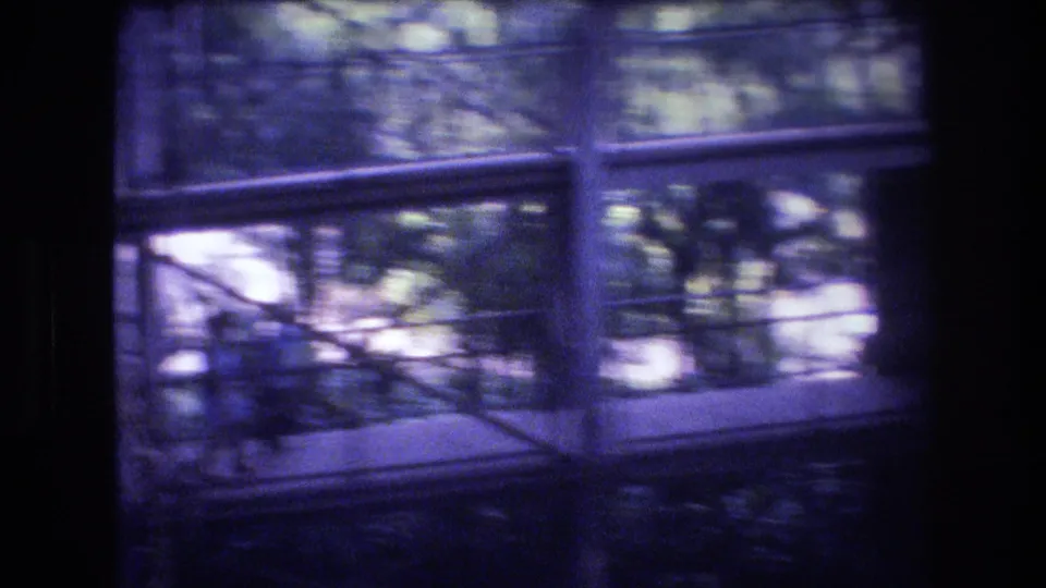 1977 Honolulu 8mm frame showing an upper interior railing or balcony area against large windows, with branches and greenery visible through the glass.