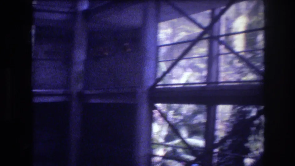 1977 Honolulu 8mm frame of the aviary-like interior, showing window panes, a vertical column, railing sections, and diagonal branches or shadows near the glass.
