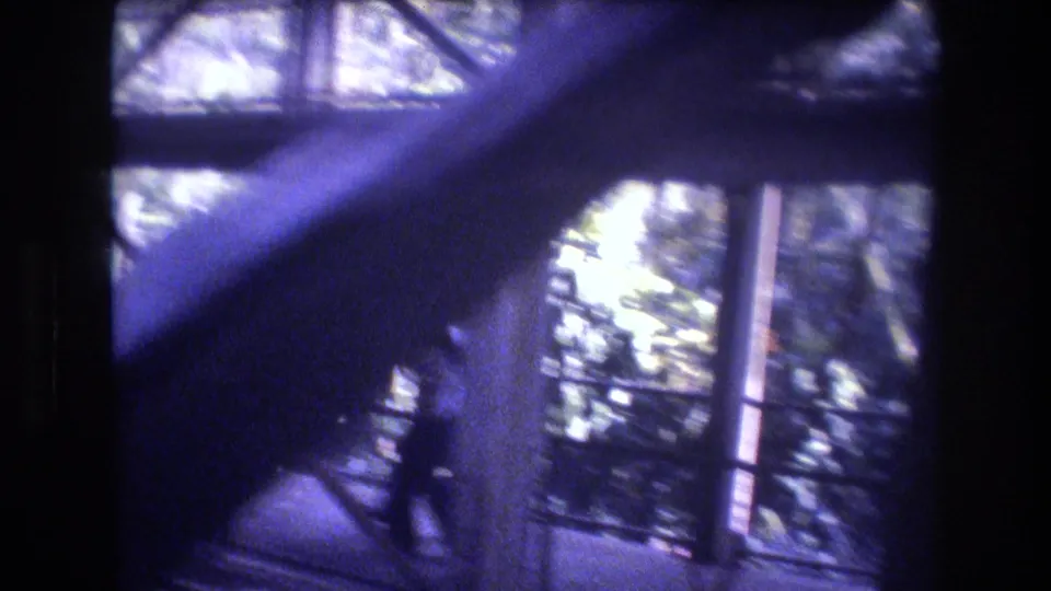 1977 Honolulu 8mm frame with a blurred diagonal rail or branch crossing the foreground, backed by tall windows and bright greenery outside the enclosure.