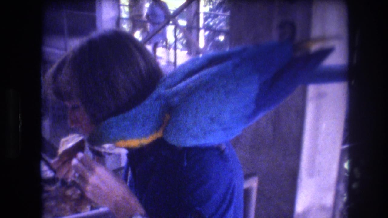 Large blue macaw leans toward a woman's hand as she feeds it indoors.