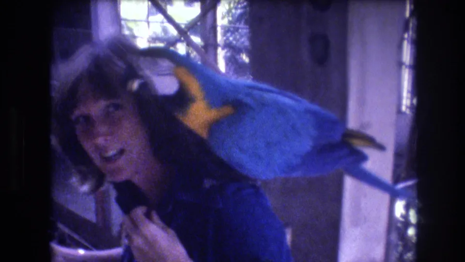 A woman turns toward the camera while the blue-and-yellow macaw remains perched across her shoulder, bringing her face and the bird into close view inside the enclosure.