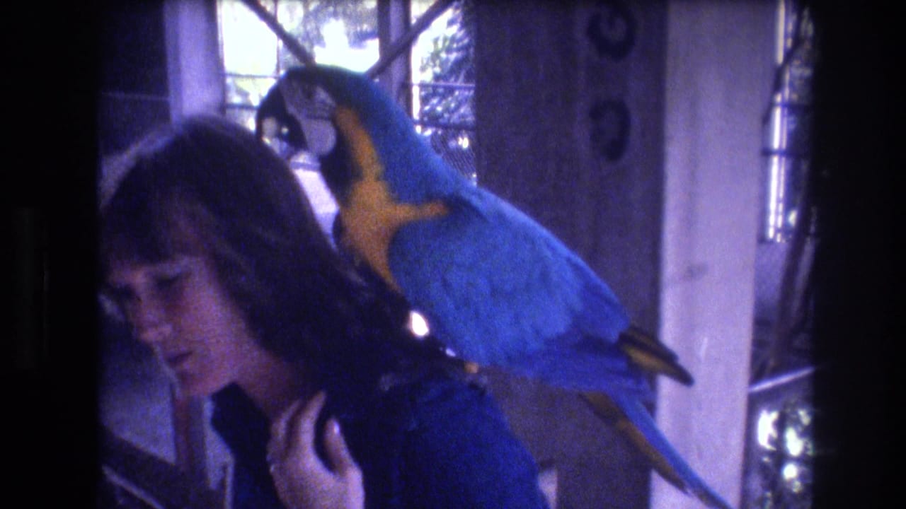 In 1977 Honolulu home-movie footage, a woman in a blue shirt looks downward as a blue-and-yellow macaw perches close to her shoulder inside an aviary-like space.