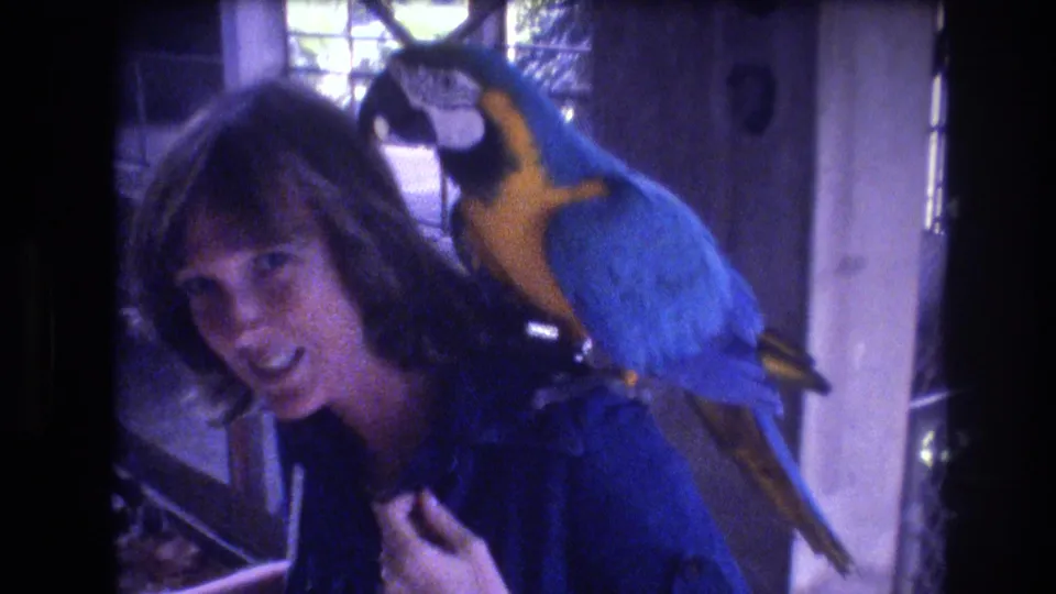 In the Honolulu, Oahu clip, the woman turns toward the camera and smiles while the blue-and-yellow macaw remains perched behind her shoulder near a gridded window.