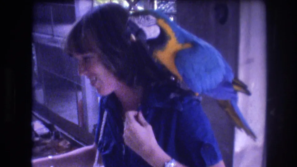 The 1977 home-movie frame shows the woman smiling in profile as the macaw stays balanced on her shoulder beside an interior post and window light.