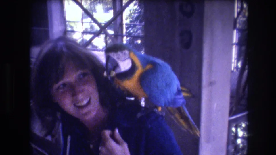 In the final frame, the woman faces the camera with a smile while the macaw perches behind her shoulder against the softly lit indoor background.