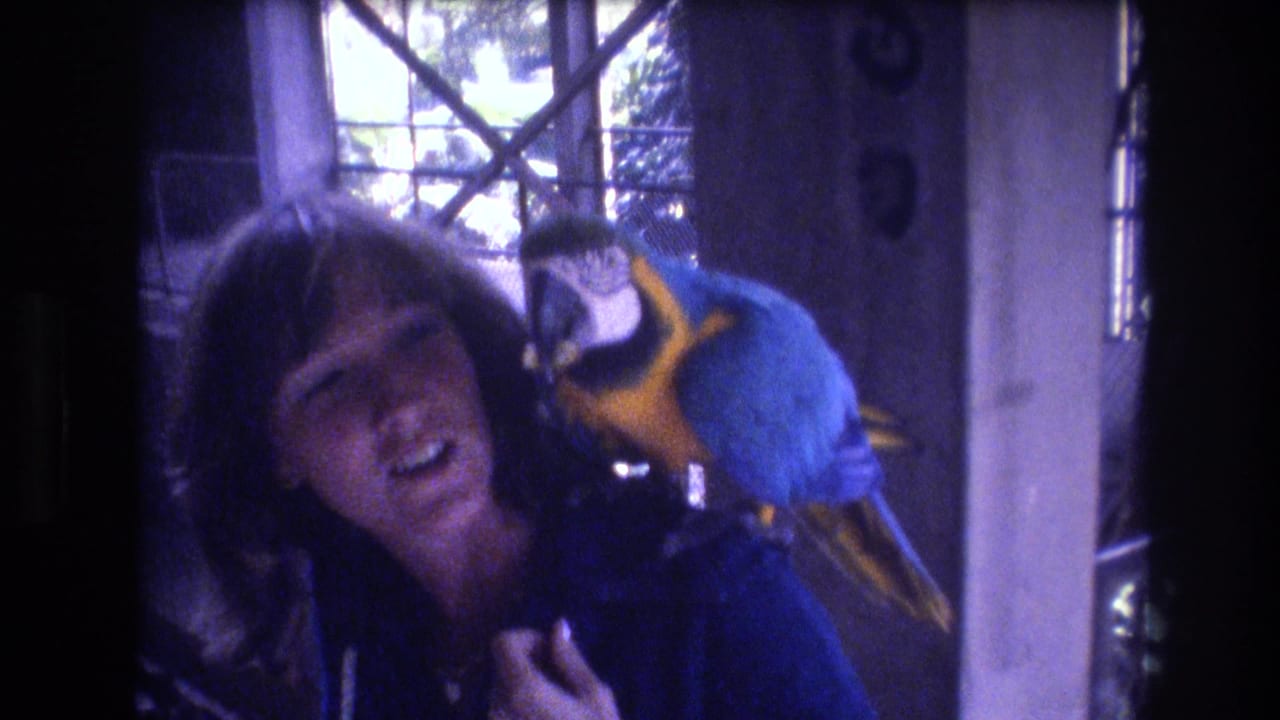 In a 1977 Honolulu 8mm home-movie frame, a woman in a dark blue top smiles while a blue-and-yellow macaw perches close to her shoulder beside a crisscross window.