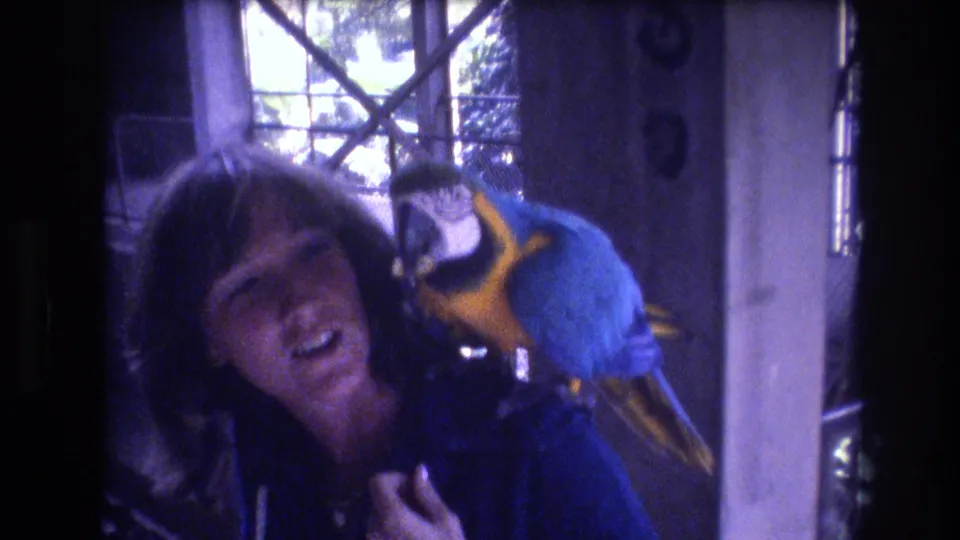 In a 1977 Honolulu 8mm home-movie frame, a woman in a dark blue top smiles while a blue-and-yellow macaw perches close to her shoulder beside a crisscross window.