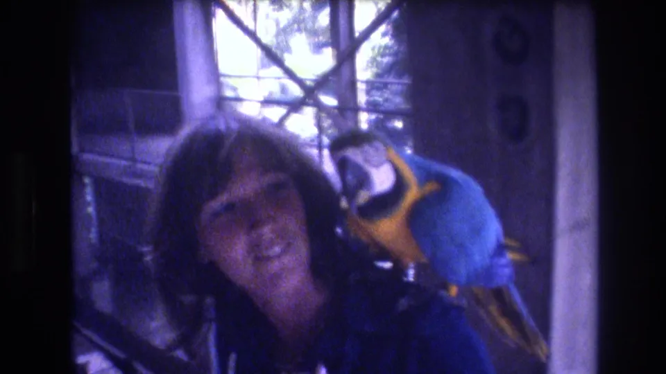 In this Honolulu home-movie still, the woman faces the camera as the blue-and-yellow macaw stays perched on her shoulder near the window-lit interior.