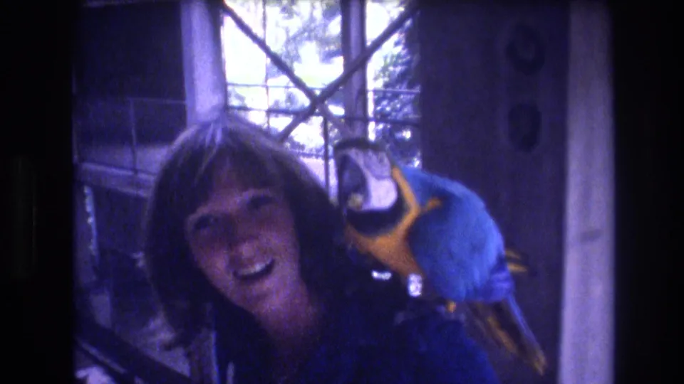 A close 1977 Honolulu 8mm frame shows the woman and shoulder-perched macaw indoors, with the bird's blue body and yellow chest visible against the bright window.